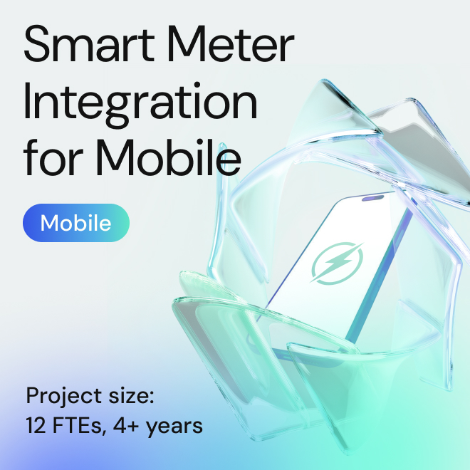 Managing budget and electricity & gas consumption from mobile device